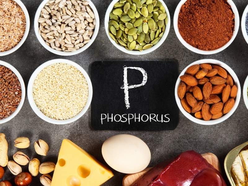 Chế độ dinh dưỡng cho người chạy thận nhân tạo