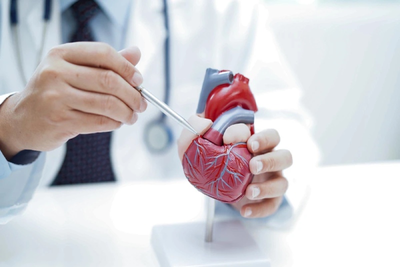 can thiệp mạch máu